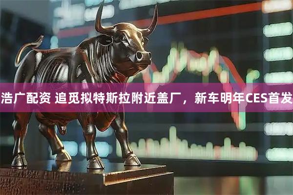 浩广配资 追觅拟特斯拉附近盖厂，新车明年CES首发