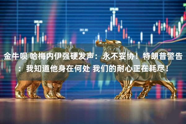 金牛呗 哈梅内伊强硬发声：永不妥协！特朗普警告：我知道他身在何处 我们的耐心正在耗尽！