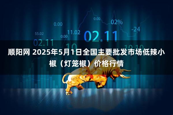 顺阳网 2025年5月1日全国主要批发市场低辣小椒（灯笼椒）价格行情