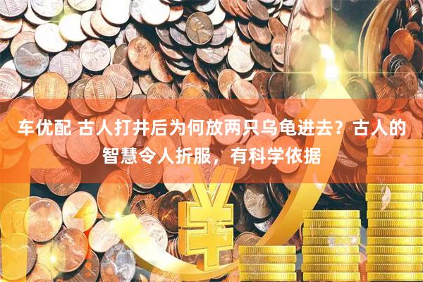 车优配 古人打井后为何放两只乌龟进去？古人的智慧令人折服，有科学依据