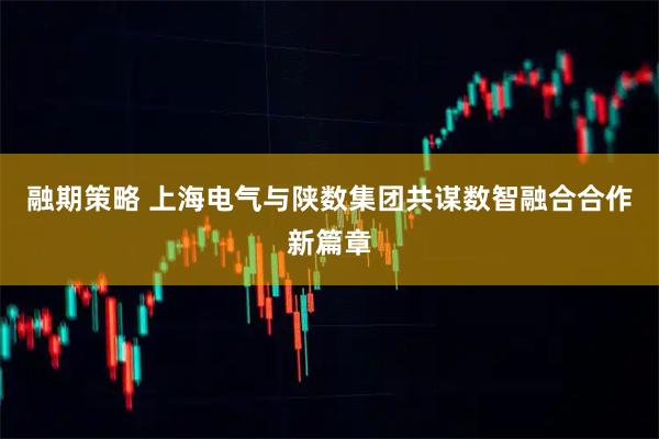 融期策略 上海电气与陕数集团共谋数智融合合作新篇章